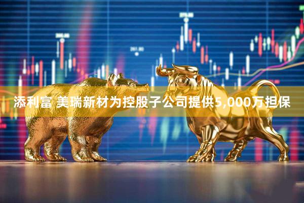 添利富 美瑞新材为控股子公司提供5,000万担保