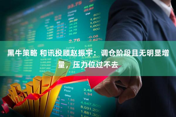 黑牛策略 和讯投顾赵振宇：调仓阶段且无明显增量，压力位过不去