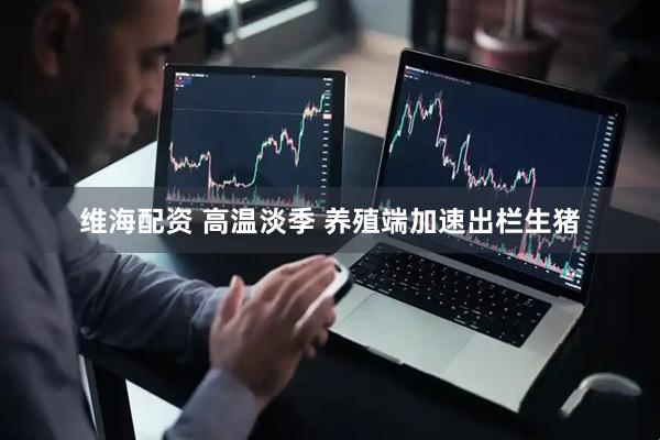 维海配资 高温淡季 养殖端加速出栏生猪