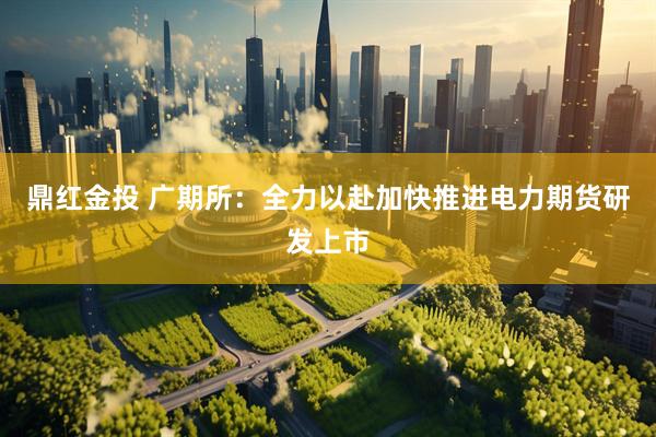 鼎红金投 广期所：全力以赴加快推进电力期货研发上市