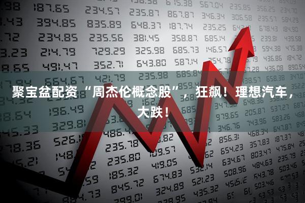 聚宝盆配资 “周杰伦概念股”，狂飙！理想汽车，大跌！