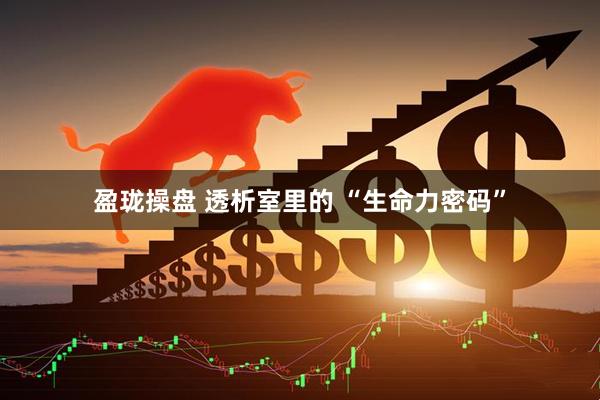 盈珑操盘 透析室里的 “生命力密码”
